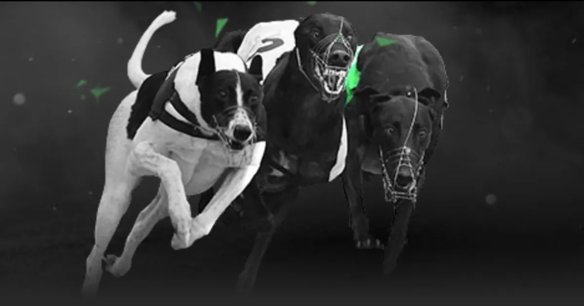 尤文今日表,现引失望,托尼揭示球,体育彩票,足彩,足球彩票,大发彩票,足彩比分直播,足球比分直播,大发彩票足球,彩票,彩票网,大发彩票网,福利彩票