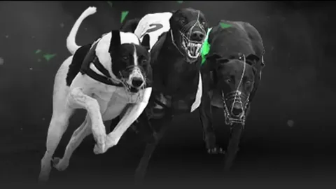 尤文今日表现引失望，托尼揭示球队心态失衡