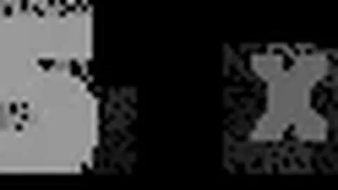 王楚钦对决世界前十成绩：林诗栋5胜2负，小莫10胜1负，平局1场