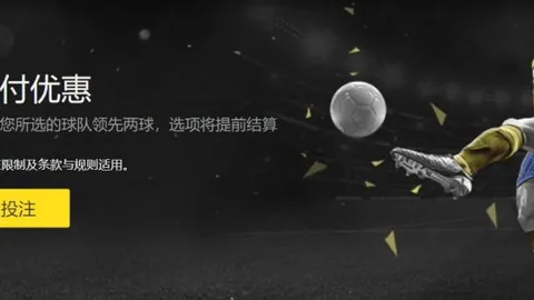 萨帕塔身躯与本泽马助攻并存，尤文图斯曾寻求引进博尼。